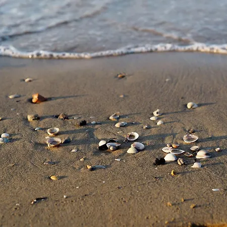 Appartamento Charming Beachfront With A Bright Terrace Bibione