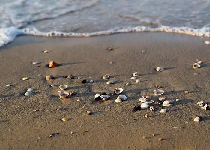 Apartmán Charming Beachfront With A Bright Terrace Bibione